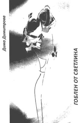 211028071320_гоблен от светлина.jpg